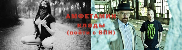 дмт Аркадак