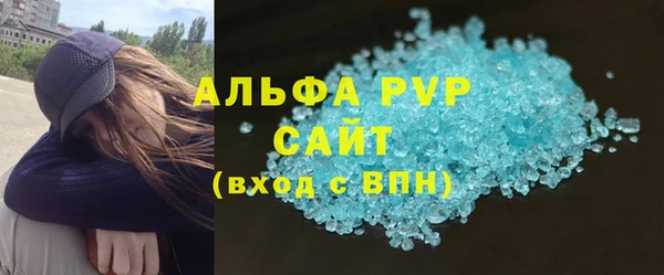 молекула духа Арсеньев