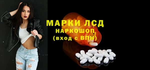 молекула духа Арсеньев