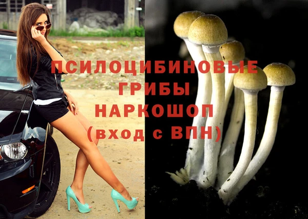 дмт Аркадак