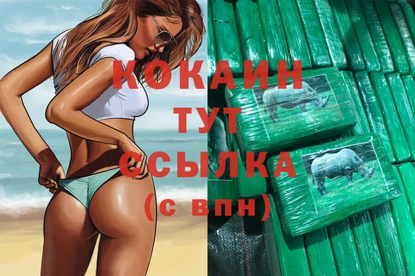 молекула духа Арсеньев