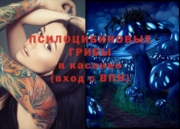 прущий лед Армянск