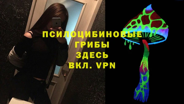 дмт Аркадак