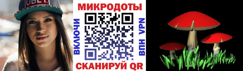 Псилоцибиновые грибы MAGIC MUSHROOMS  ОМГ ОМГ сайт  Черемхово 